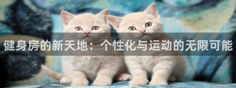 意昂4招商