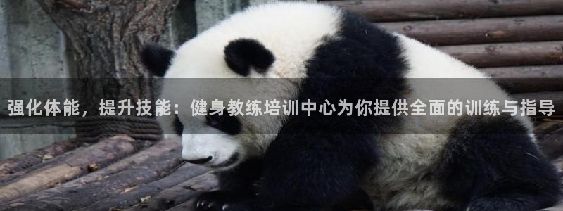 意昂4官方网站