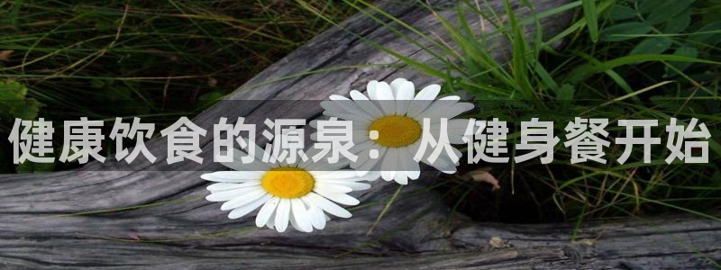 意昂4平台