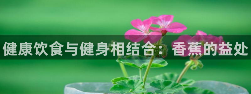 意昂4招商