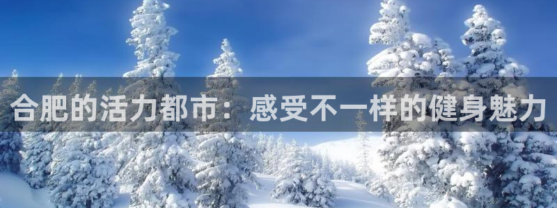 意昂4招商