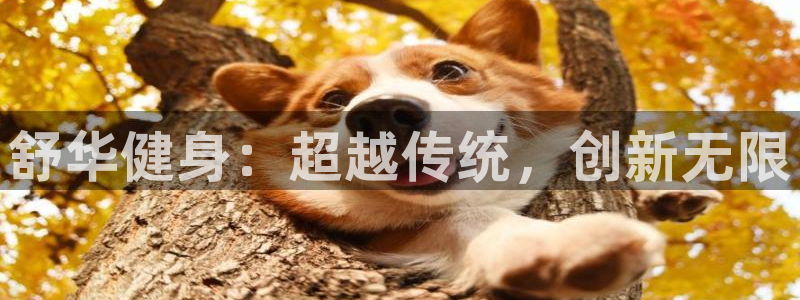 意昂4平台