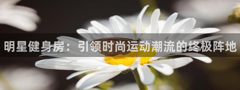 意昂4代理